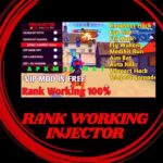 Rank Working Injector