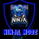 Ninja Modz